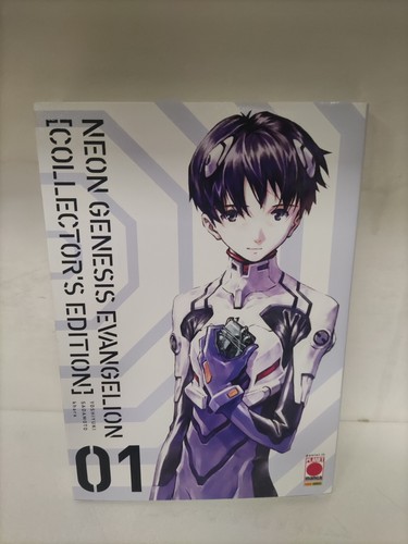 Neon genesis evangelion - neon,