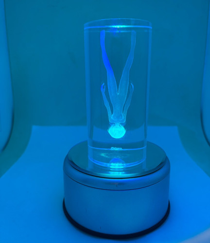 Evangelion commemorativo - evangelion,